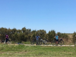 Ile de Re - 2017