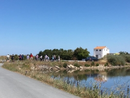 Ile de Re - 2017