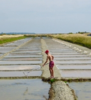 Ile de Re - Salt Marshes