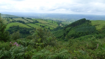 View - Magnificent Views