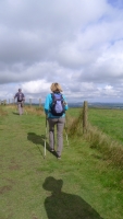 Walk - The Walk