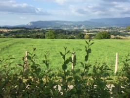Summer in the Dauphine - 2018 - View from Site