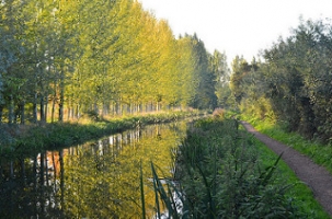 Somerset Ride and Stride