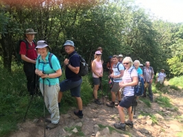 Somerset Ride and Stride