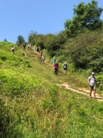 Somerset Ride and Stride
