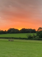 Somerset Ride and Stride