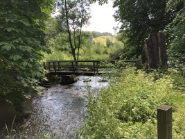 Beresford Dale - Izzac Waltons fishing grounds 