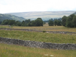 Dry stone walls in Wharfedale